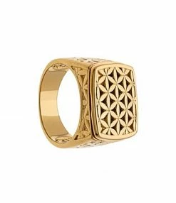 LES FÉLICITÉS Chevalière Harmonie Plaqué Or